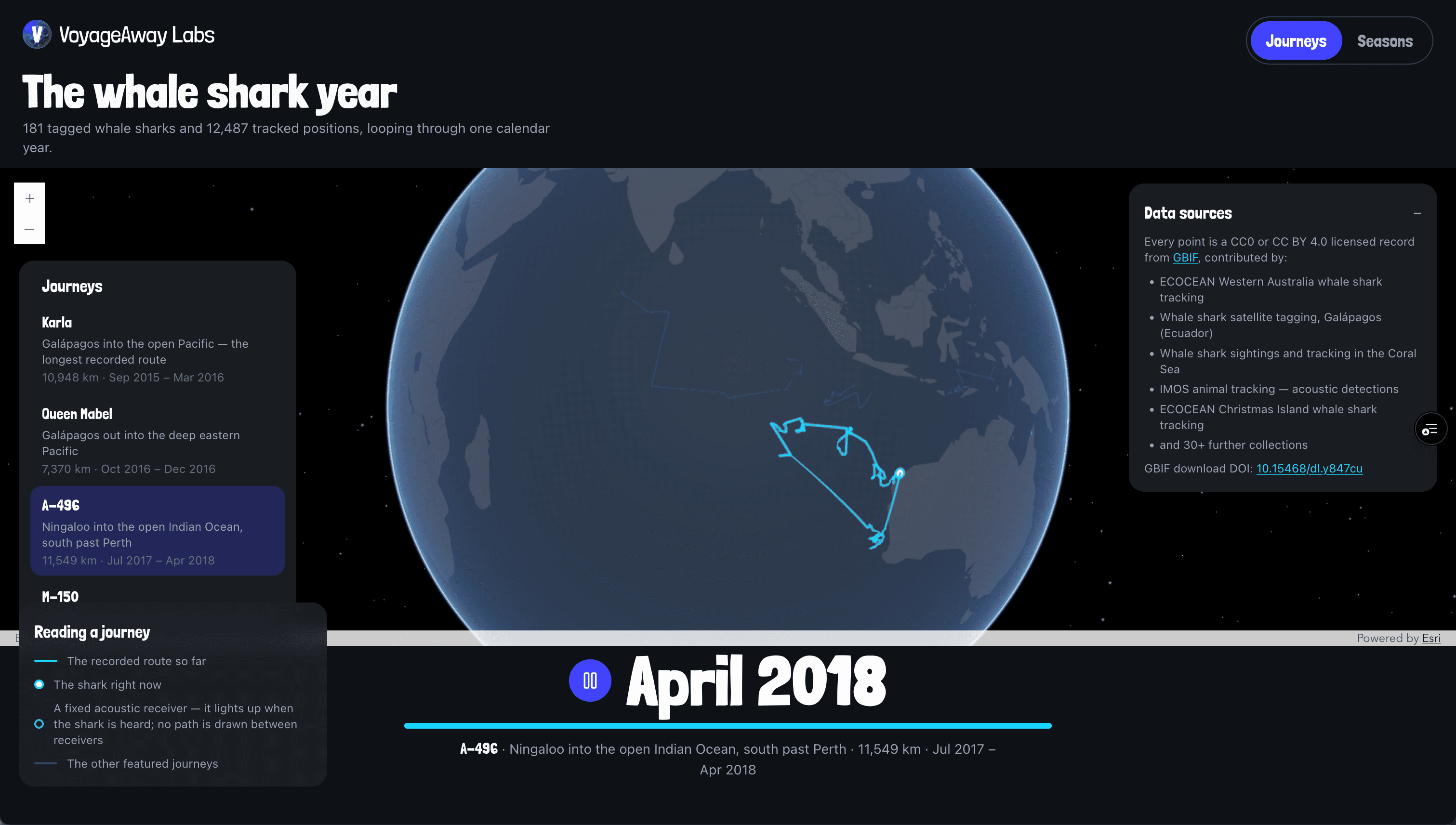 Animated 3D globe of whale shark movement